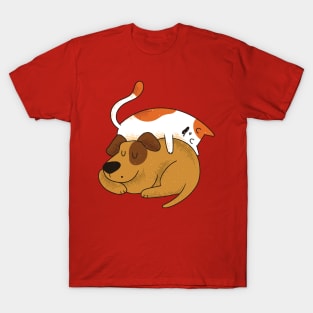 Cat And Dog Sleeping T-Shirt